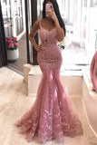 Mermaid Lace Long Prom Dresses, Dusty Pink Tulle Evening Dress MG29