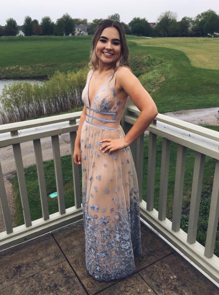 long prom dress a line v neck floor length tulle party dress