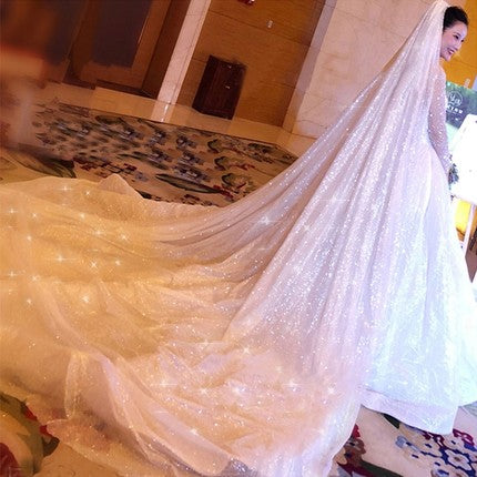 3m long sparkly wedding veil brial veil cathedral train wv2