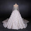 Gorgeous Long Sleeves Flowers Ball Gown Wedding Dress With Sequin Beaded PW95