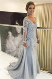 Dusty Silver Lace Appliques Long Sleeves Mermaid Mother of the Bride Dress WM105