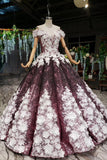 Off-Shoulder Quinceanera Dresses Prom Dresses Ball Gown With 3D Appliques MP91