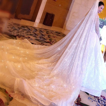 3M Long Sparkly Wedding Veil Brial Veil Cathedral Train WV2