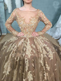 Vintage sheer neck ball gown prom dress, long sleeves evening dress mg283