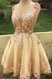 See-Through Short Tulle Homecoming Dresses Lace Embroidery Party Dress GM539