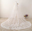 cathedral train long wedding veil 3m lace applique edge wv1