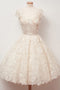 A-line Scoop Lace Homecoming Dresses Cap Sleeves Sweet 16 Dress GM187