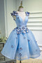 Sky Blue Sweet 16 Dress A Line Homecoming Dress with Butterfly Appliques GM359